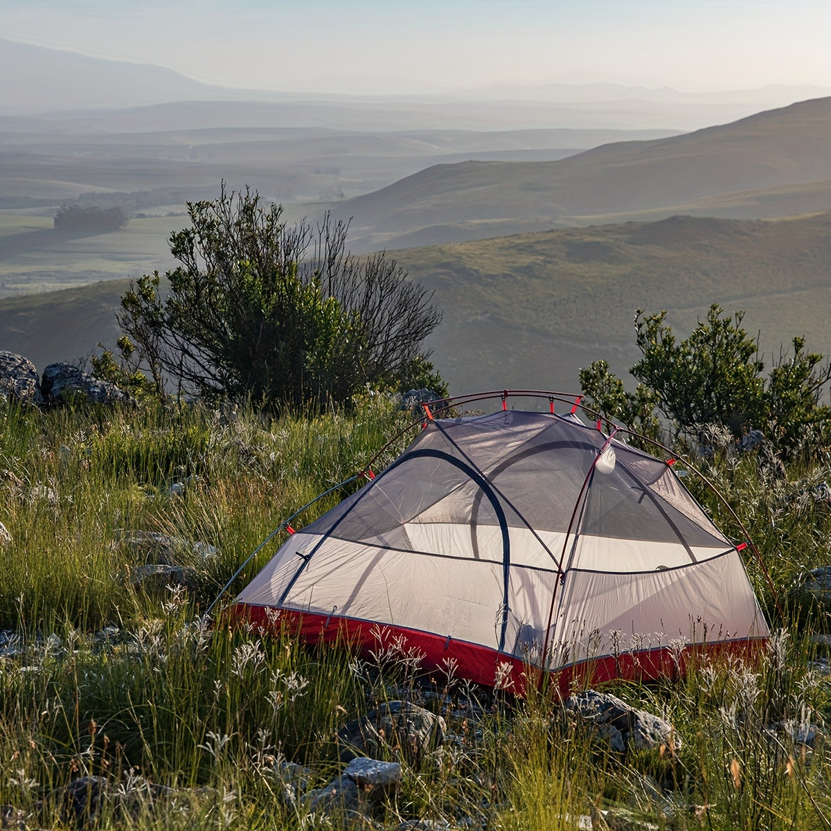 6551ad71-439b-4c75-9468-84c6c1a0e9fa